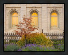 Load image into Gallery viewer, Salt Lake Autumn Detail