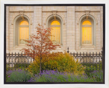 Load image into Gallery viewer, Salt Lake Autumn Detail