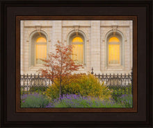 Load image into Gallery viewer, Salt Lake Autumn Detail