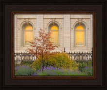 Load image into Gallery viewer, Salt Lake Autumn Detail