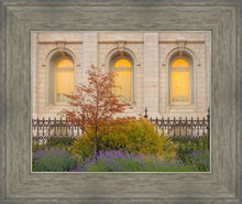 Load image into Gallery viewer, Salt Lake Autumn Detail