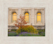 Load image into Gallery viewer, Salt Lake Autumn Detail