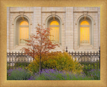 Load image into Gallery viewer, Salt Lake Autumn Detail