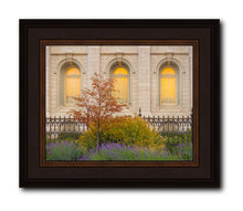 Load image into Gallery viewer, Salt Lake Autumn Detail