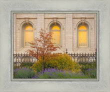 Load image into Gallery viewer, Salt Lake Autumn Detail