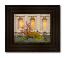 Load image into Gallery viewer, Salt Lake Autumn Detail