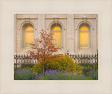 Load image into Gallery viewer, Salt Lake Autumn Detail