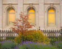 Load image into Gallery viewer, Salt Lake Autumn Detail