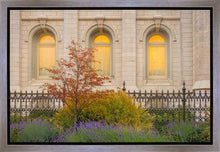 Load image into Gallery viewer, Salt Lake Autumn Detail