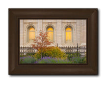 Load image into Gallery viewer, Salt Lake Autumn Detail