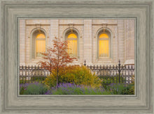 Load image into Gallery viewer, Salt Lake Autumn Detail