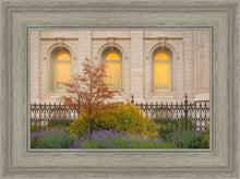 Load image into Gallery viewer, Salt Lake Autumn Detail