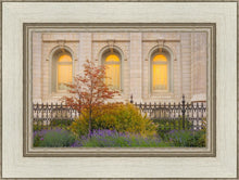 Load image into Gallery viewer, Salt Lake Autumn Detail