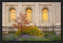 Load image into Gallery viewer, Salt Lake Autumn Detail