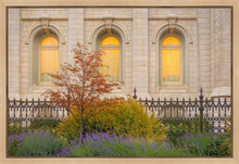 Load image into Gallery viewer, Salt Lake Autumn Detail