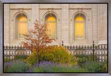 Load image into Gallery viewer, Salt Lake Autumn Detail