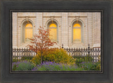 Load image into Gallery viewer, Salt Lake Autumn Detail