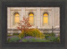Load image into Gallery viewer, Salt Lake Autumn Detail