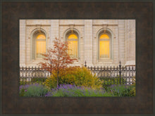 Load image into Gallery viewer, Salt Lake Autumn Detail