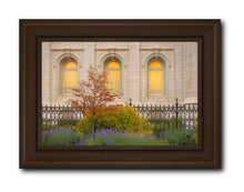 Load image into Gallery viewer, Salt Lake Autumn Detail