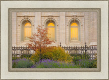Load image into Gallery viewer, Salt Lake Autumn Detail