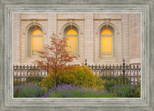 Load image into Gallery viewer, Salt Lake Autumn Detail