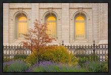 Load image into Gallery viewer, Salt Lake Autumn Detail
