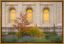 Load image into Gallery viewer, Salt Lake Autumn Detail