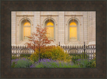 Load image into Gallery viewer, Salt Lake Autumn Detail