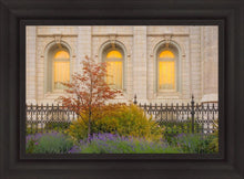 Load image into Gallery viewer, Salt Lake Autumn Detail
