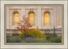 Load image into Gallery viewer, Salt Lake Autumn Detail