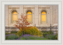 Load image into Gallery viewer, Salt Lake Autumn Detail