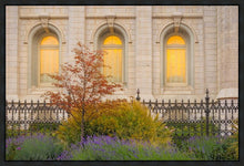 Load image into Gallery viewer, Salt Lake Autumn Detail