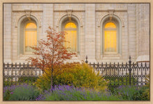 Load image into Gallery viewer, Salt Lake Autumn Detail