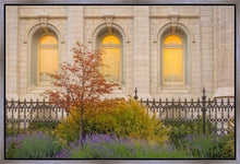Load image into Gallery viewer, Salt Lake Autumn Detail