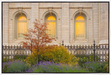 Load image into Gallery viewer, Salt Lake Autumn Detail