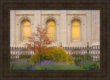 Load image into Gallery viewer, Salt Lake Autumn Detail