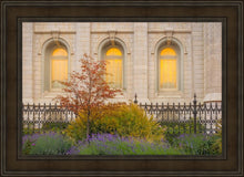 Load image into Gallery viewer, Salt Lake Autumn Detail