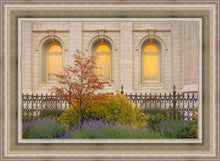 Load image into Gallery viewer, Salt Lake Autumn Detail