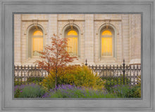Load image into Gallery viewer, Salt Lake Autumn Detail