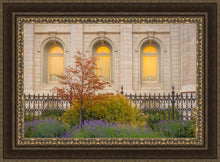 Load image into Gallery viewer, Salt Lake Autumn Detail