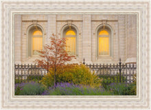 Load image into Gallery viewer, Salt Lake Autumn Detail