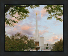Load image into Gallery viewer, Denver Temple 01