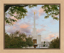 Load image into Gallery viewer, Denver Temple 01