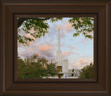 Load image into Gallery viewer, Denver Temple 01