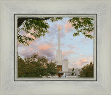 Load image into Gallery viewer, Denver Temple 01