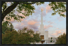 Load image into Gallery viewer, Denver Temple 01