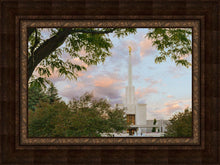 Load image into Gallery viewer, Denver Temple 01