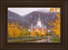 Load image into Gallery viewer, Provo CC Fall Morning
