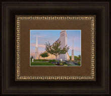 Load image into Gallery viewer, Boise Detail